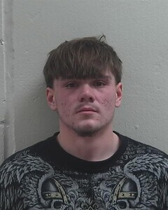 Mugshot of CODY A WOOF