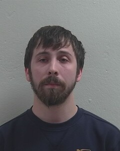 Mugshot of TRISTON M WILLIAMS