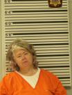 Mugshot of HEIDI ERICKSON