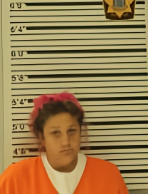 Mugshot of BRANDI MARTIN