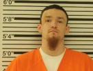 Mugshot of JESSE NELSON