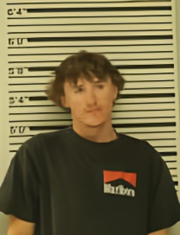 Mugshot of GAVIN DEGROSS