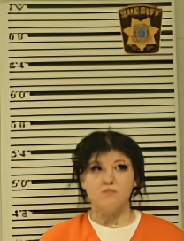 Mugshot of KARLEE LANGE