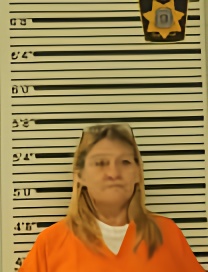 Mugshot of TARA SOLMES