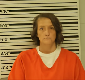 Mugshot of JACQUELYN BOSER