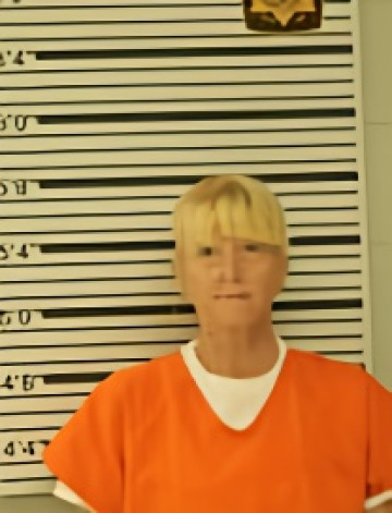 Mugshot of RANDI LEE