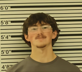 Mugshot of LOGAN MURPHY
