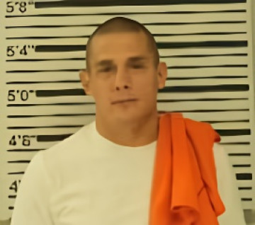 Mugshot of STEPHEN HARMSTON