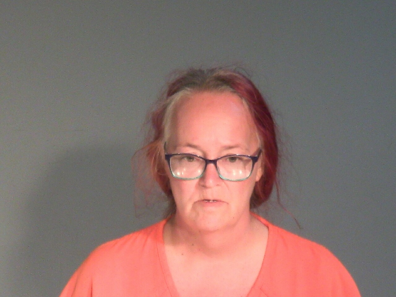 Mugshot of SARA LEE TREPANIER