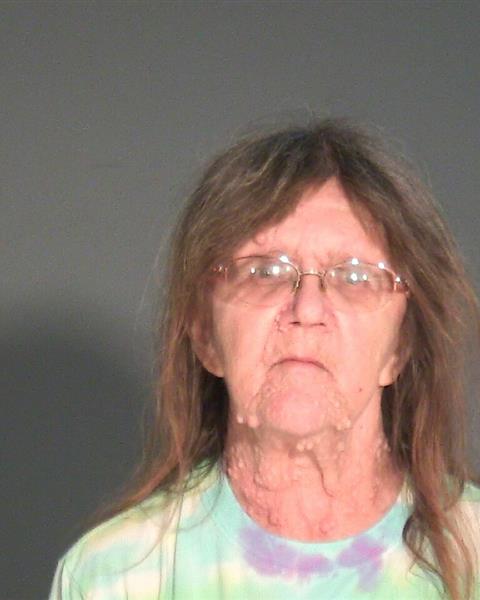 Mugshot of PATTI KAY SCHEDLER