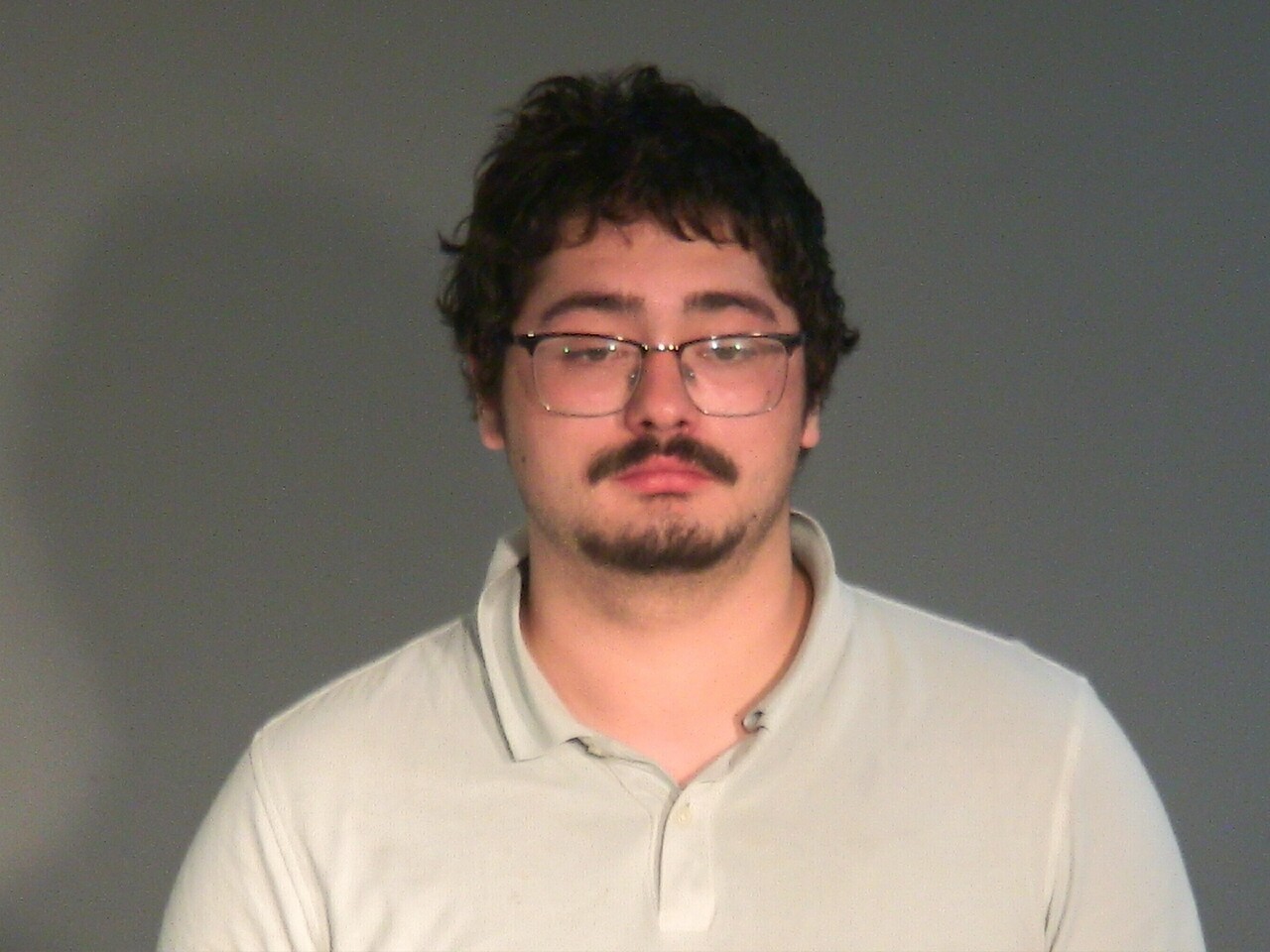 Mugshot of NEHEMIAH ARTHUR SCHWAB