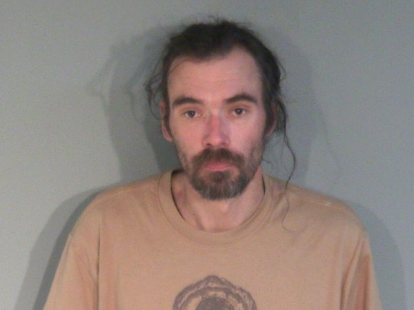 Mugshot of DAVID MICHAEL SKRENES