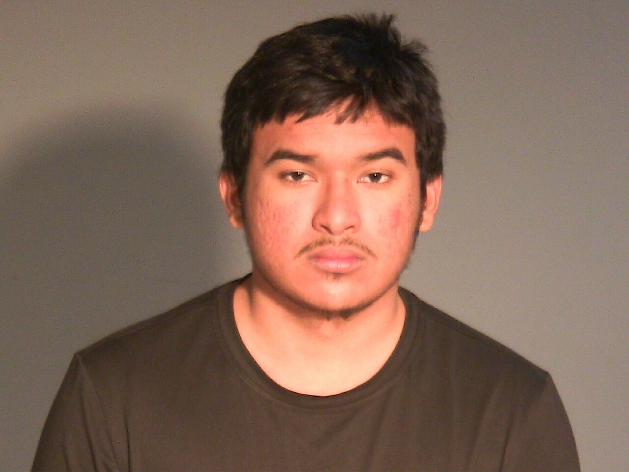 Mugshot of WILVER A CARIAS RUANO