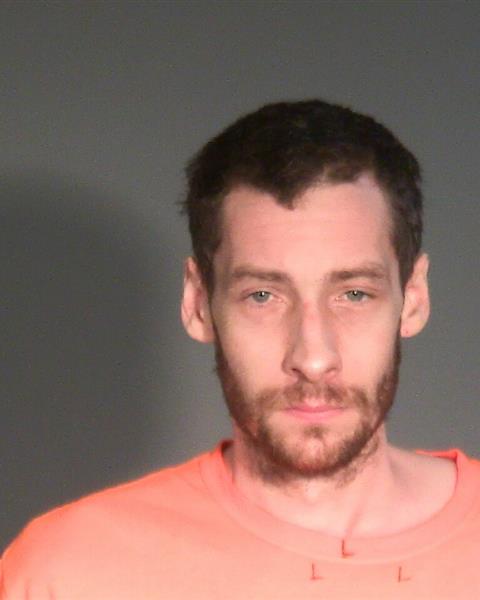 Mugshot of MICHAEL LEE SMITH