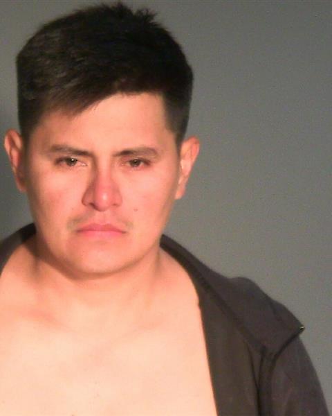 Mugshot of CARLOS J GARCIA CASTRO