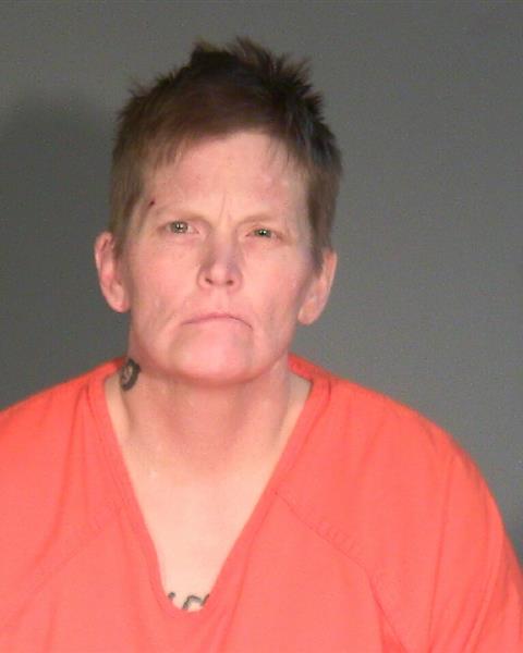 Mugshot of CYNTHIA LYNN BOSCH