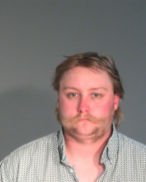 Mugshot of DAVID LEE STEELE