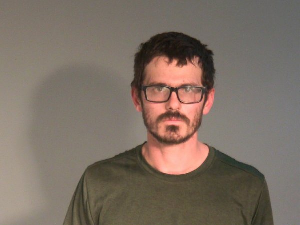 Mugshot of WILLIAM F LOVELL
