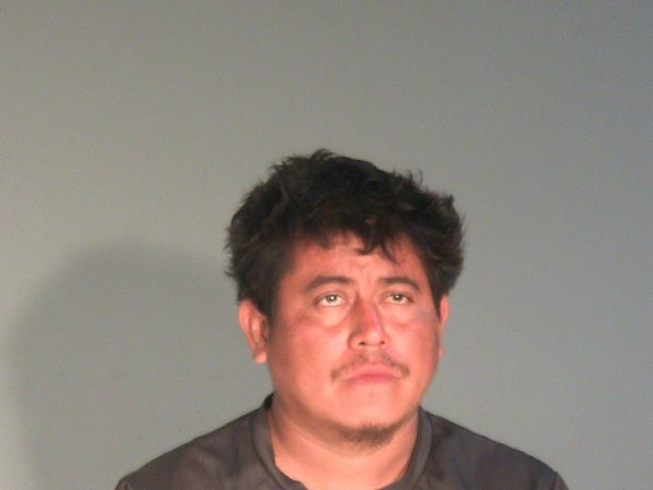 Mugshot of ALEX JOSE JOSE DAVILAGONZALEZ