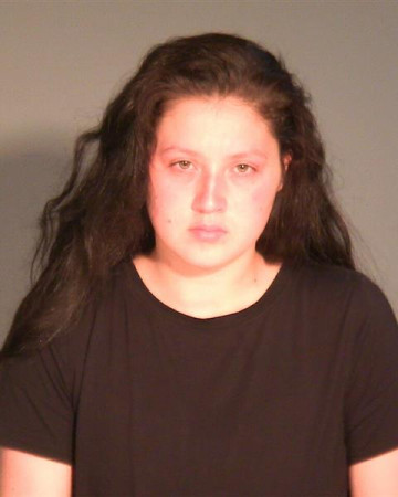Mugshot of SHEYLA J VAZQUEZ VENEGAS