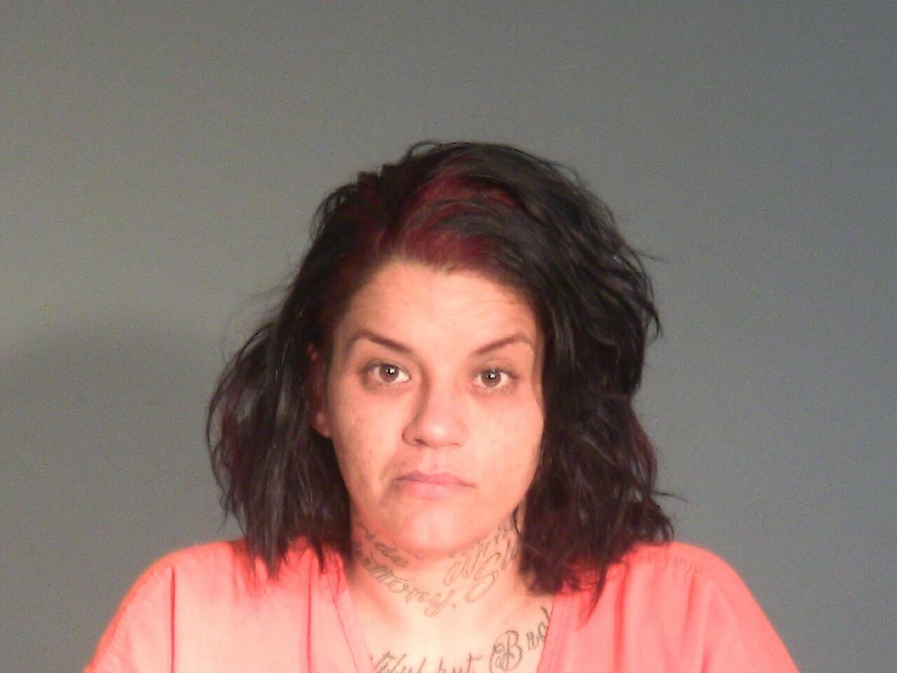 Mugshot of NICOLE TEREN CASSOLA