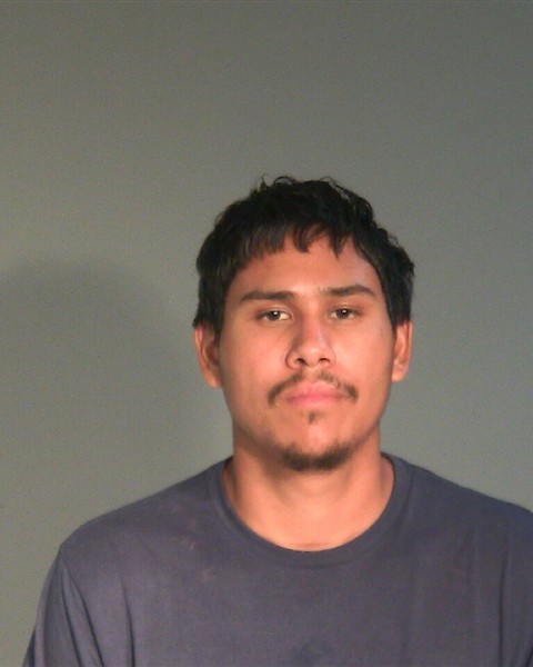 Mugshot of MARIO ALBERTO VILLEGAS