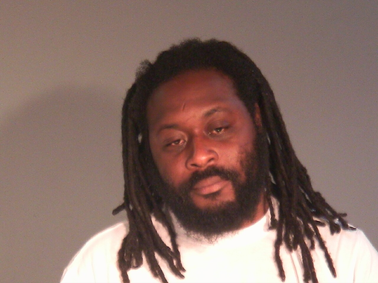 Mugshot of LEE G RAY