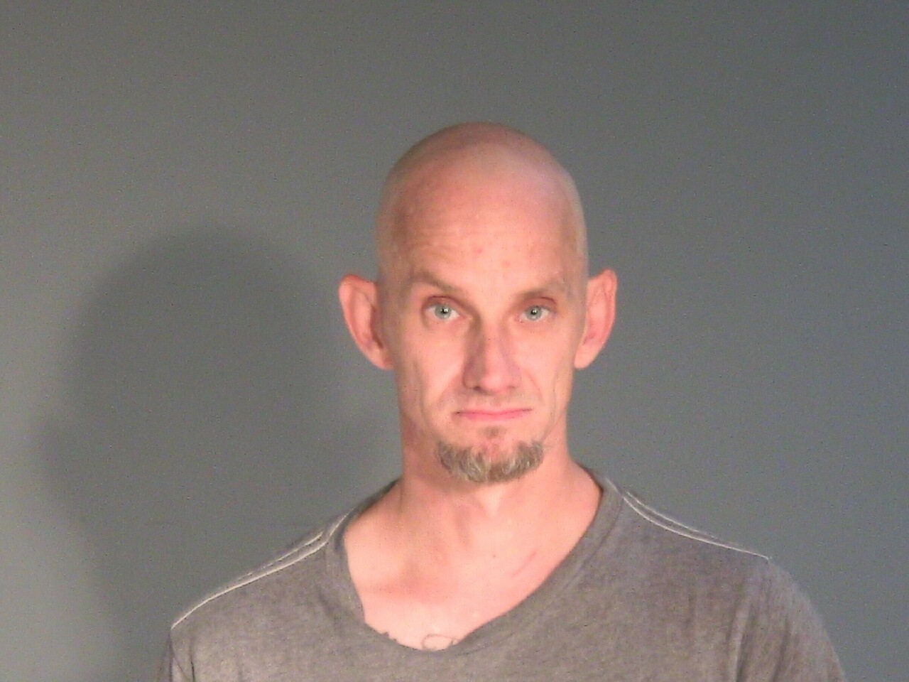 Mugshot of RICHARD ALAN BRADLEY