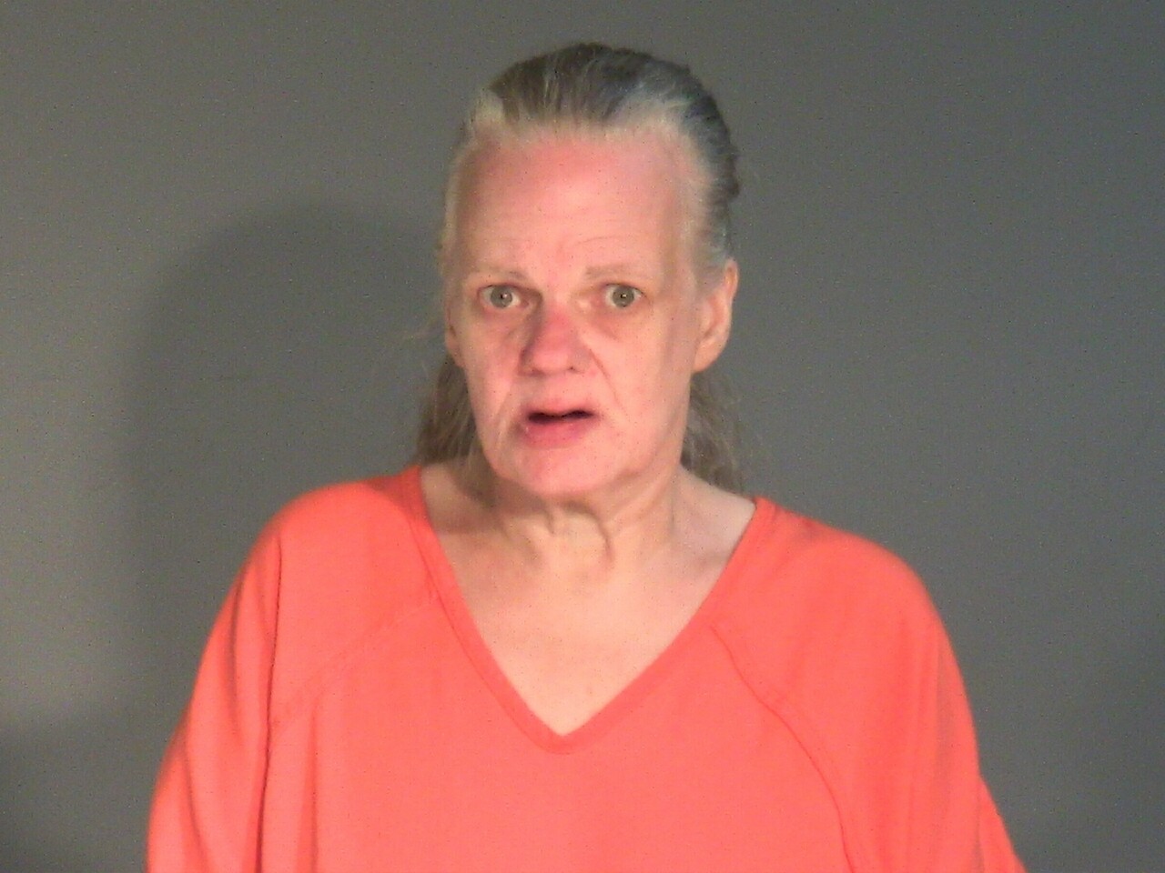 Mugshot of DOLORES DIANE WARRINER