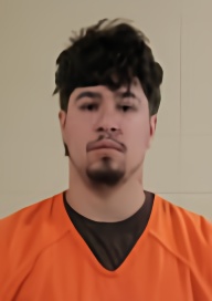 Mugshot of ADAIN TIMOTHY HOSS