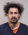 Mugshot of DALE LOIS Junior WELLS