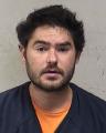 Mugshot of TYLER JAMES THORSEN