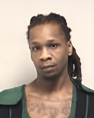 Mugshot of GERRELL DOMINIQUE LOVE