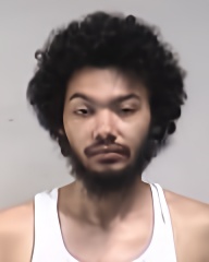 Mugshot of JAVONTAE LOUIS HARDEMAN