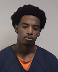 Mugshot of TREMELL LAMAR POWELL