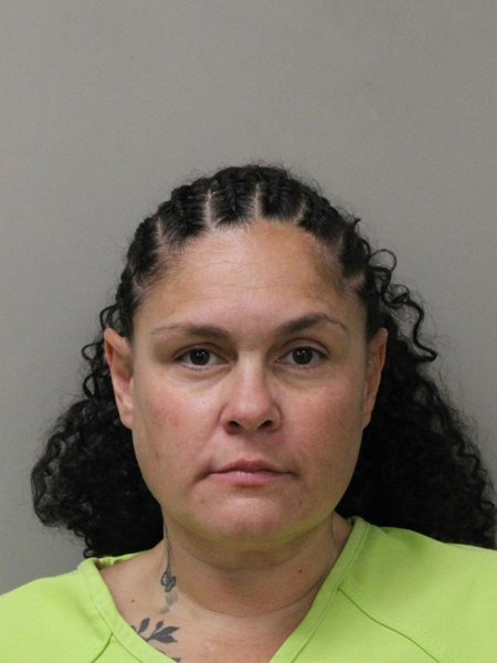 Mugshot of JULIE M JOHNSON