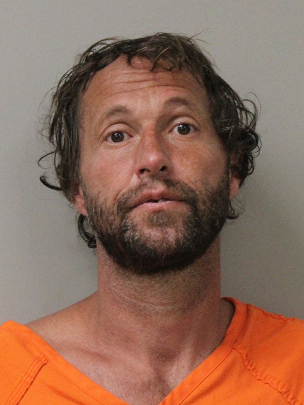 Mugshot of JOHNNY L SNYDER