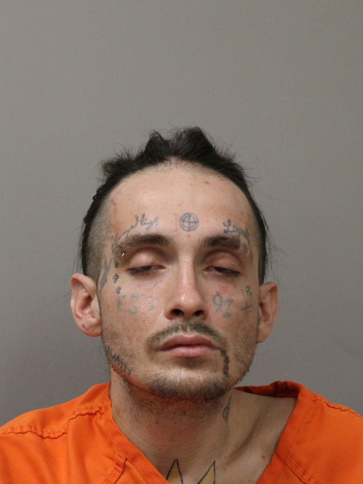 Mugshot of RYAN D UTT