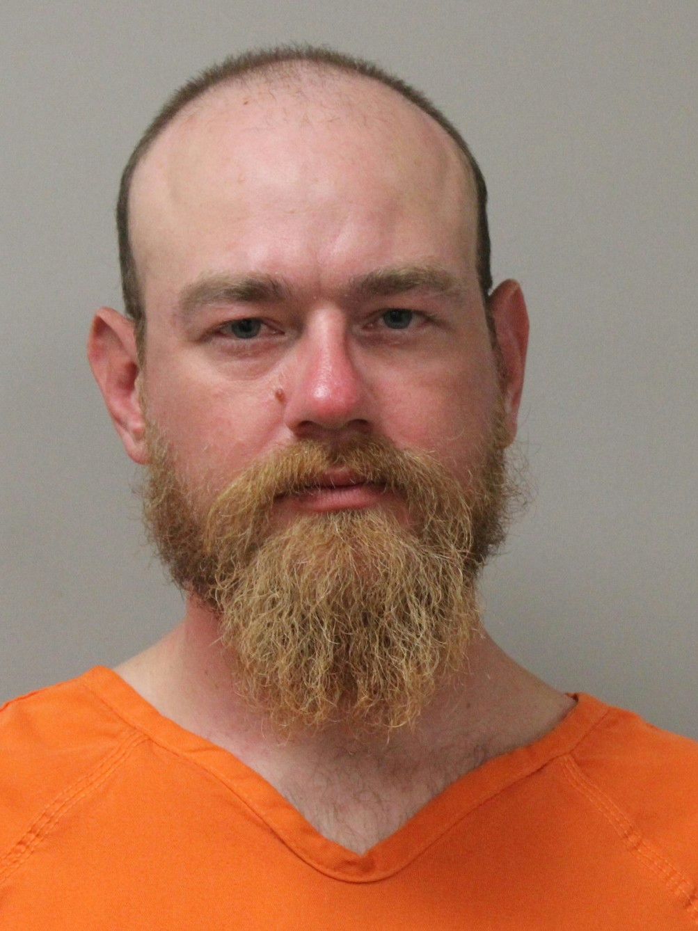 Mugshot of VOLANTE C FEIST