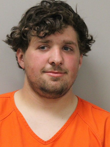 Mugshot of WALKER J LAACK