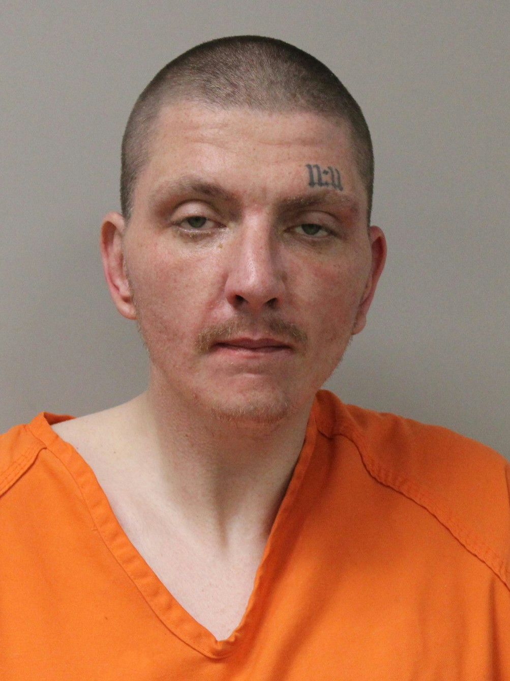 Mugshot of TYLER P YOGMAS
