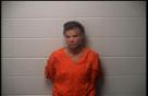Mugshot of MICHELLE SVOKE
