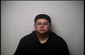 Mugshot of ANDRES VITE GARCIA