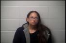 Mugshot of APRIL ANN HOHENSEE