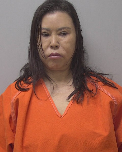 Mugshot of LIHUA WANG