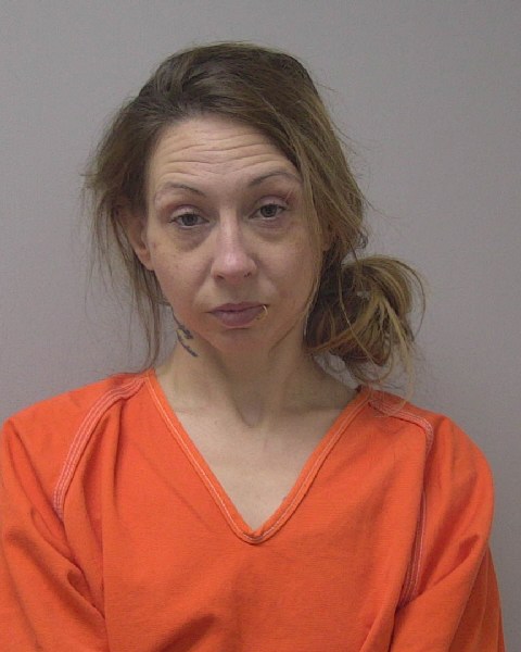 Mugshot of DEVIN NICOLE STANTON