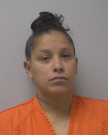 Mugshot of DAKOTA LEIGH TOMOW