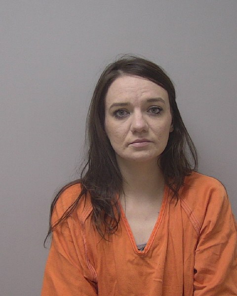 Mugshot of SHIANNA MICHAEL VANRIXEL