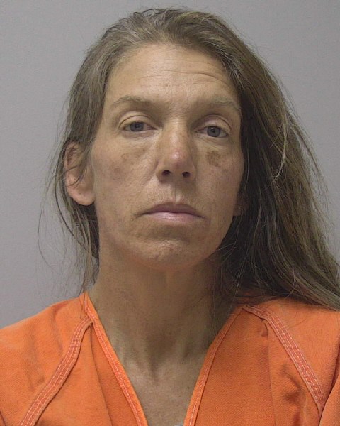 Mugshot of TANYA LYNN SIRIANNI