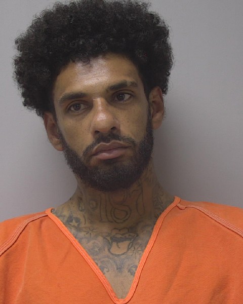 Mugshot of ROBERT A VOSSBURG